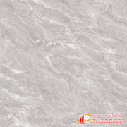 Floor tiles 800x800 Thach Ban TGB80-0228