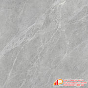 Granite tile 800x800 Thach Ban TGB80-0266
