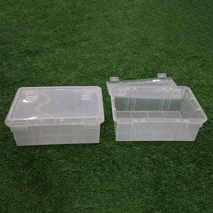Custom Clear Plastic Container Small PP Plastic Packaging Reusable Convenient Storage