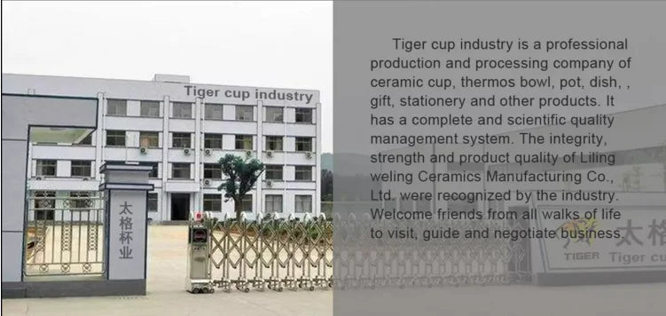 Bộ 8 Ly Tách Sứ Cao Cấp Viền Vàng Kèm Khay Sang Trọng