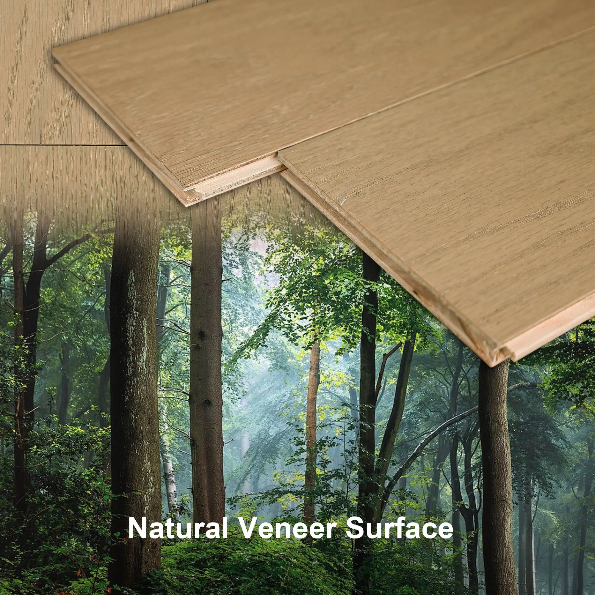 Sàn Gỗ Jeedeson - Đẳng Cấp & Độc Đáo