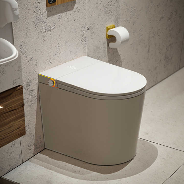 High quality 520mm short rimless one-piece ceramic toilet, flushable 