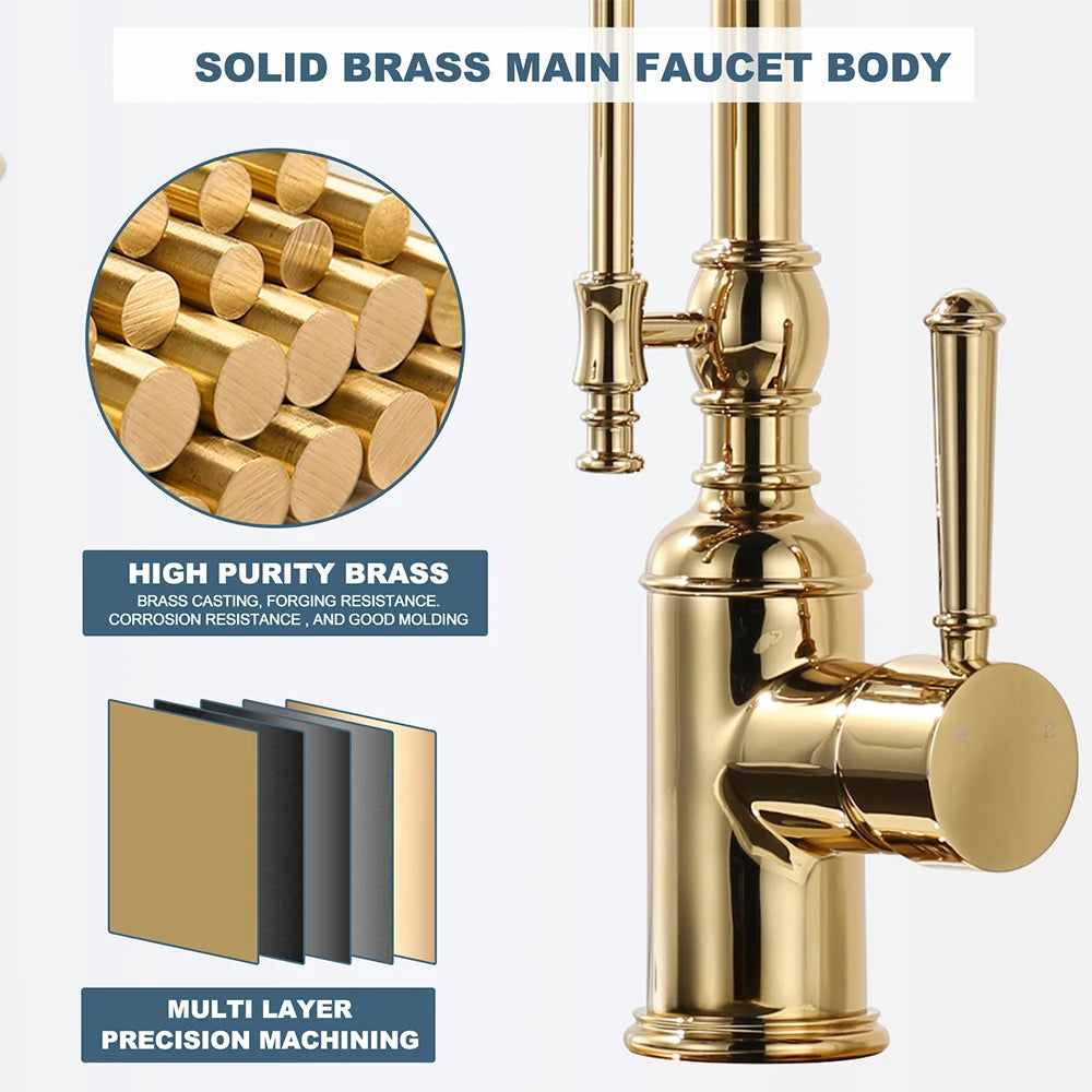 Vòi Chậu Bếp Cao Cấp Titan Vàng Với Đầu Xịt