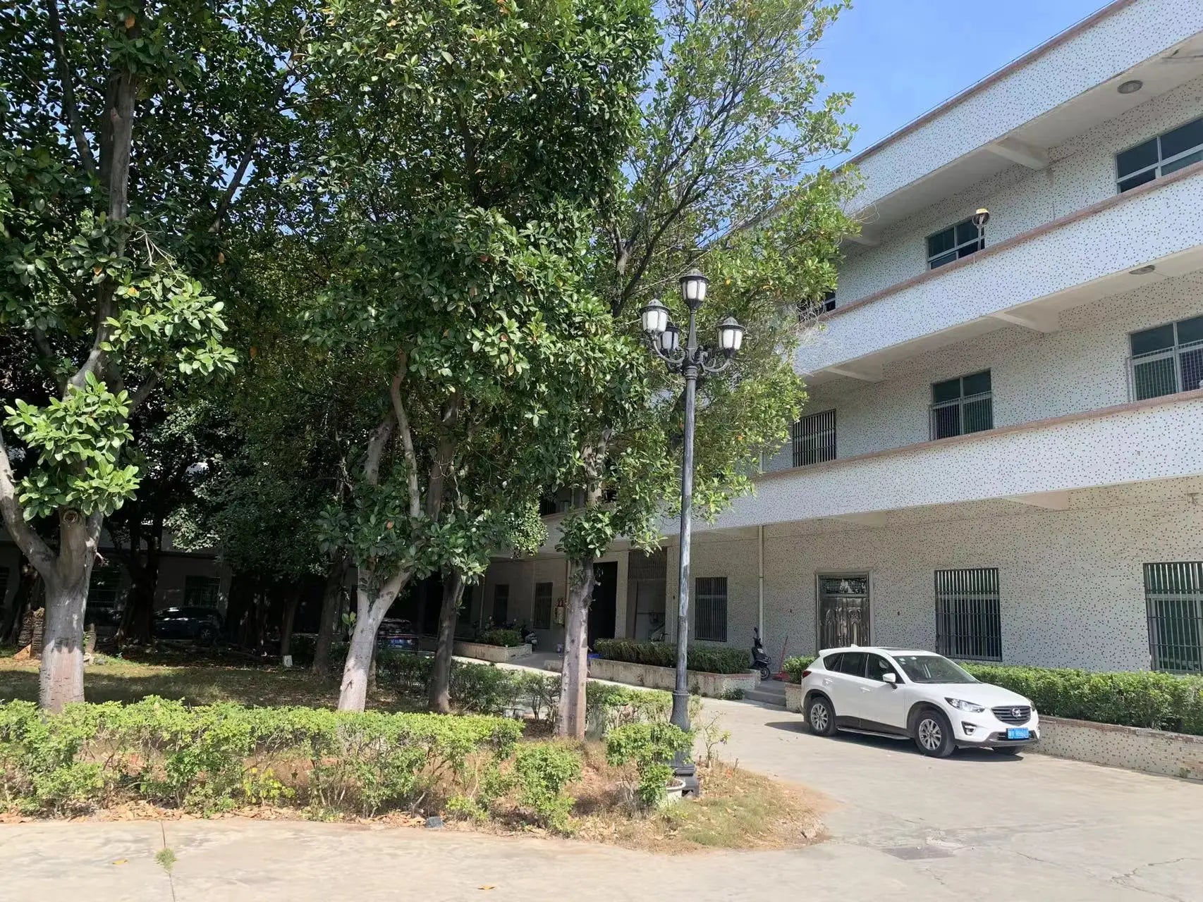 Nồi Đa Năng Thép Tay Gỗ – Tiện Lợi Cho Mọi Nhà