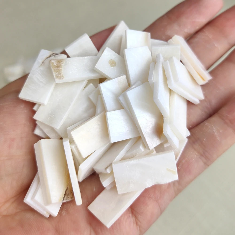 50 Viên Gạch Mosaic Vỏ Trai Trắng Hình Quạt DIY - Daisan Mart