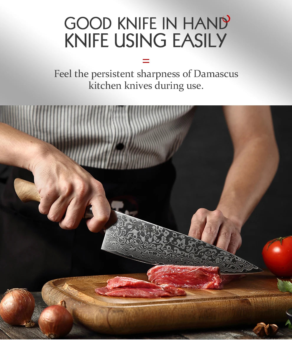 HEZHEN Kitchen Knife 67 Layers Damascus Steel Professional