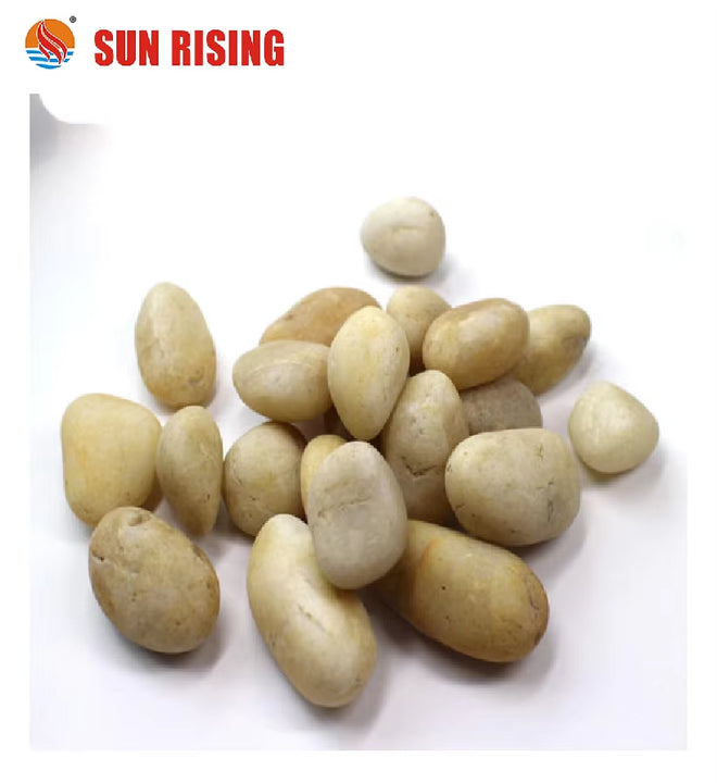 Natural White Oval Pebbles Well Polished River Pebbles for Outdoor Use for Garden Exterior Application 
