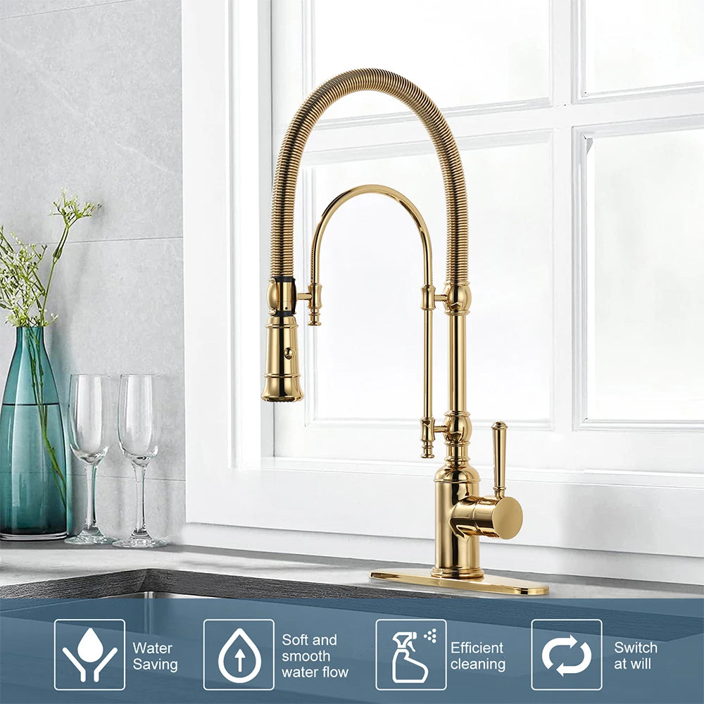 Vòi Chậu Bếp Cao Cấp Titan Vàng Với Đầu Xịt