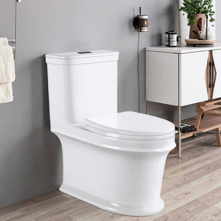 Wholesale Siphon Flush Toilet Long Toilet One Piece Floor Mounted Porcelain Toilet for Hotel 