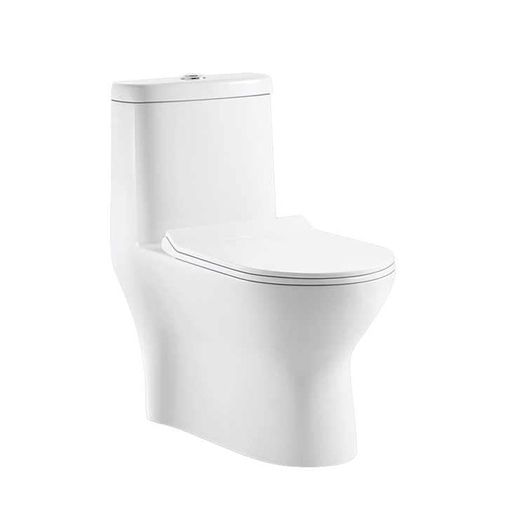 New water saving toilet 2024, Siphonic S Trap toilet 300 mm, ceramic sanitary ware, dual flush, Siphon flush, luxury one-piece toilet 