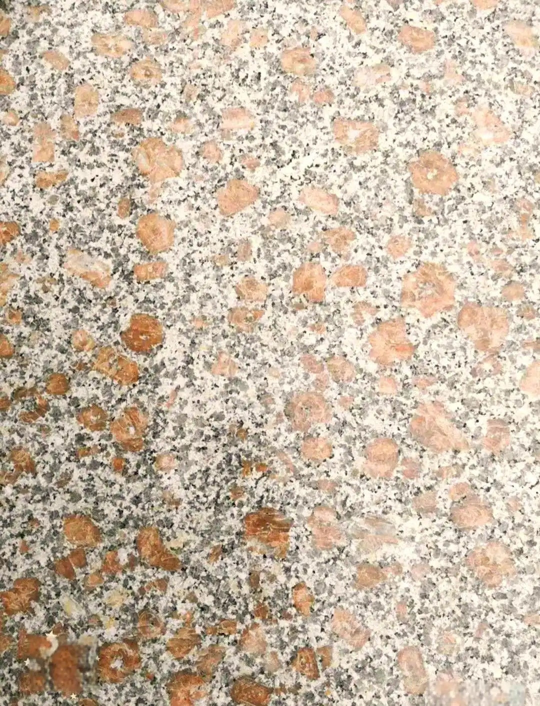 Hard Polished Pearl Red Granite 