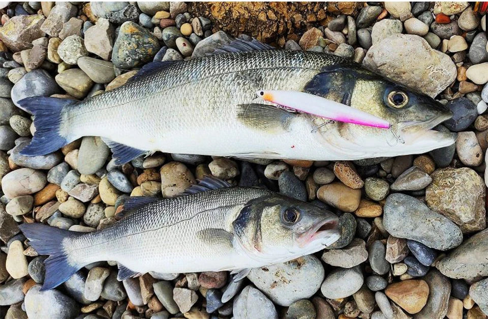 TSURINOYA 140mm 26g DW92 Sinking Minnow Saltwater Freshwater Black Bass Pike Bait Long Casting Sinker Weight Jerkbait Wobblers