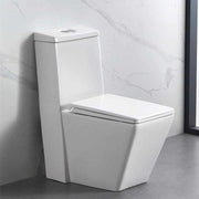 High-end bathroom sanitary ware made of large ceramic, one-piece toilet, seat