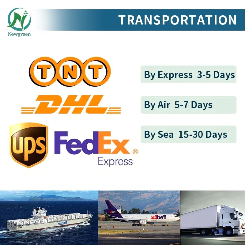 Chinaherbs Private Label 14 Days Fast Weight Loss Shaped  Flat Tummy Slimming Tea Bags Detox Slim Tea Weight Loss