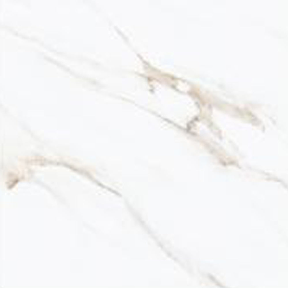 Foshan India 600x600 Glazed Rustic Ceramic Tiles