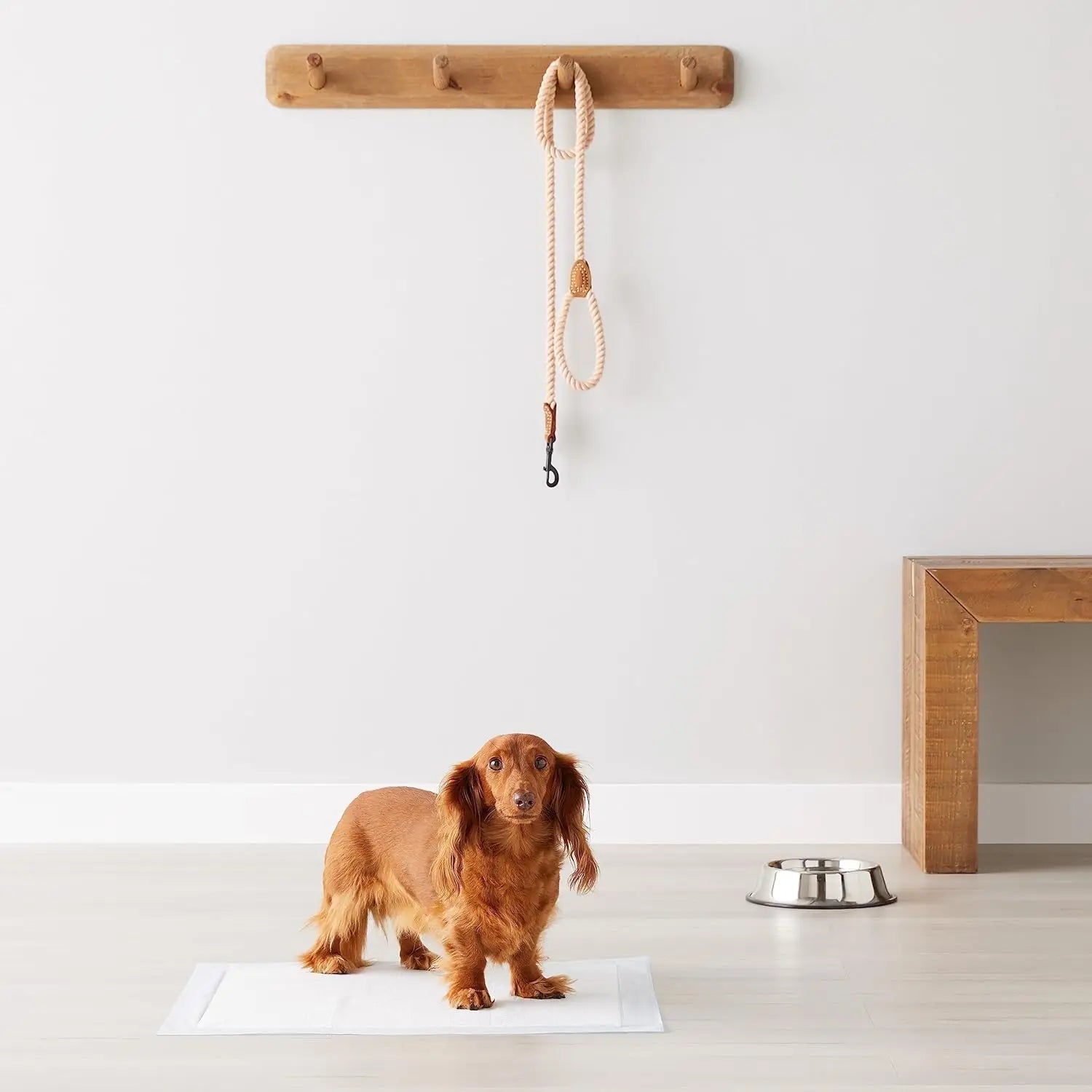 5-Layer Super Absorbent Dog Toilet Mat, Quickly Deodorizes