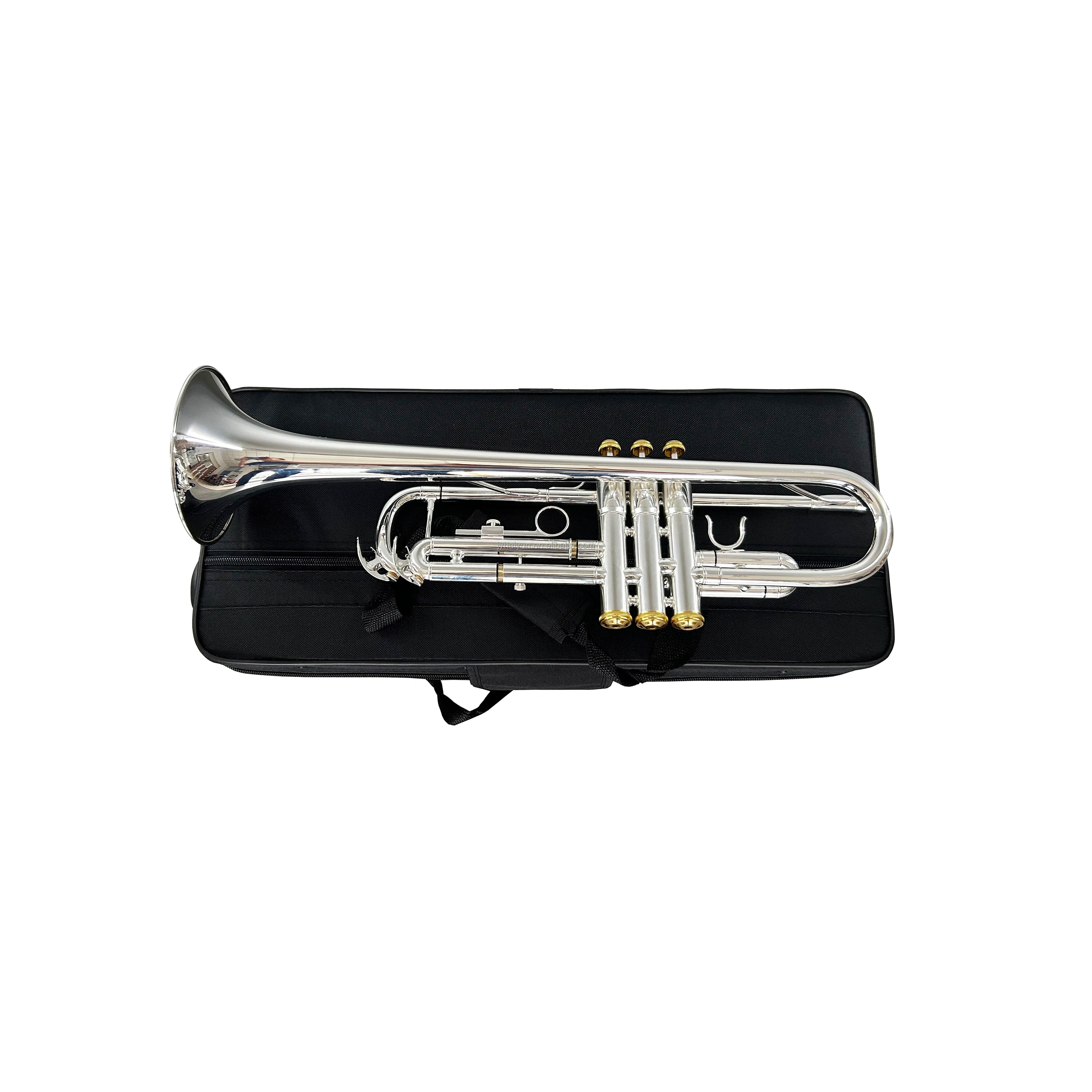 SEASOUND OEM BB Silver Body Trompeta Brass Trumpet with Gold Keys JYTR401DSG
