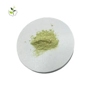 Food Grade 95% NF Pure Rutin Powder Herbal Extract in Plastic Container Bottle or Drum Packaging