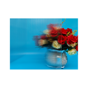 Raw rolled glass for decorative applications in kitchens, bathrooms, bedrooms, industrial solar energy