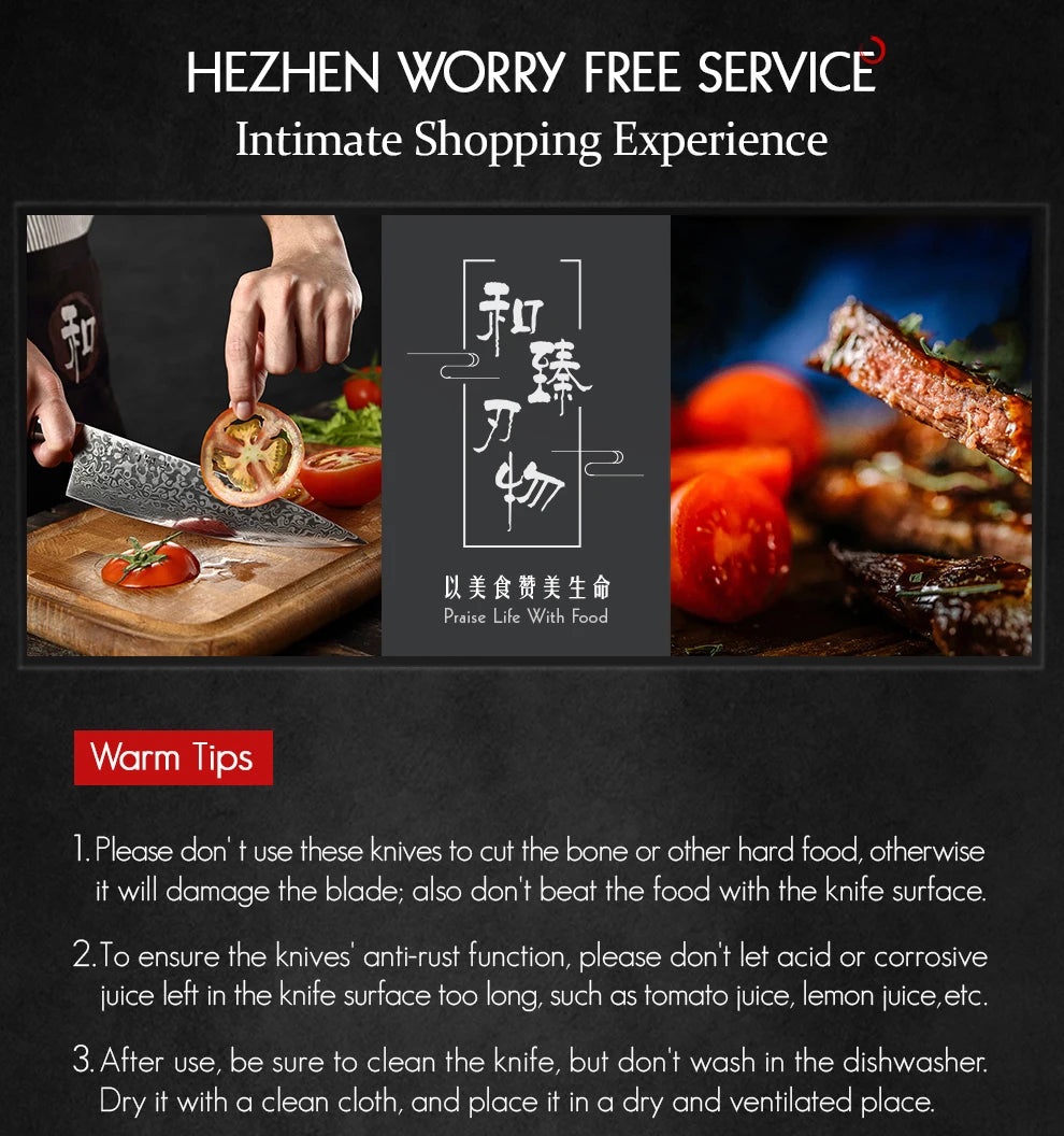 HEZHEN Kitchen Knife 67 Layers Damascus Steel Professional