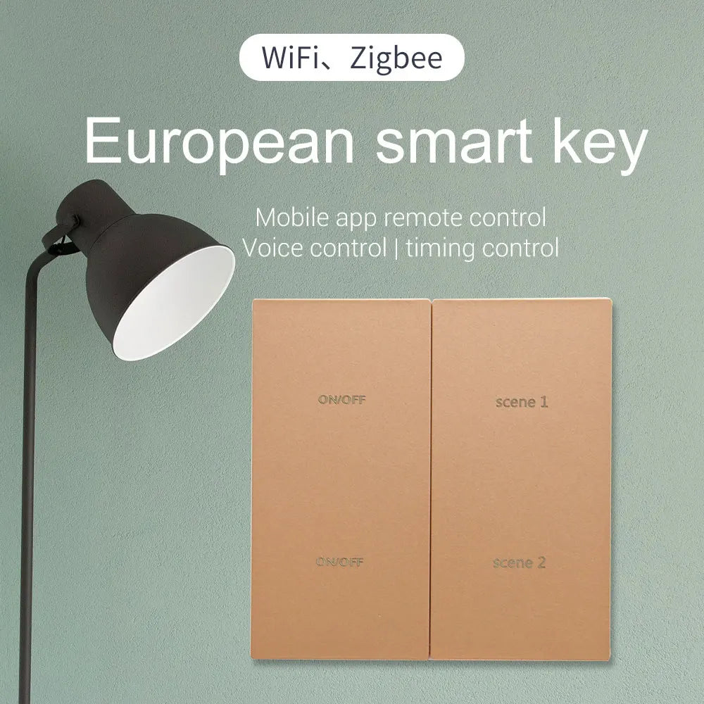 Zigbee Tuya Smart Switch 1-4 Gang DUOMEI