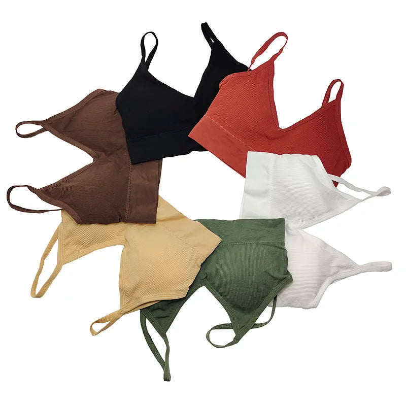 Áo Bra Thể Thao Cotton Nâng Đỡ Chạy Bộ Yoga Nữ - Daisan Mart