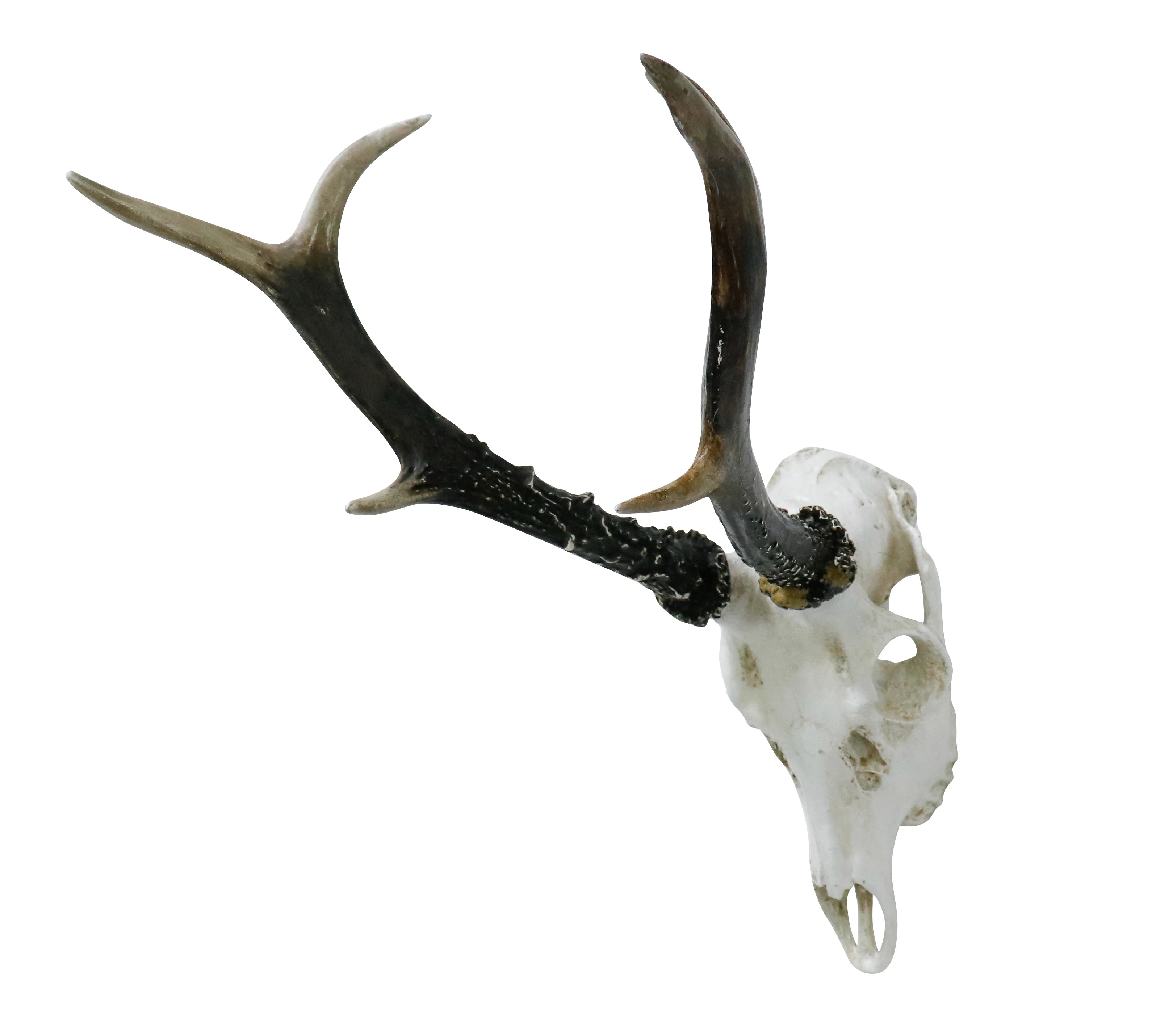 US Stock Resin Deer with Antlers Model Pattern Wall Decor Animal Skeleton Art for Home & Bar