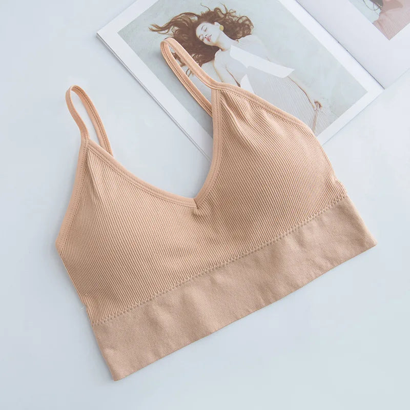 Áo Bra Thể Thao Cotton Nâng Đỡ Chạy Bộ Yoga Nữ - Daisan Mart
