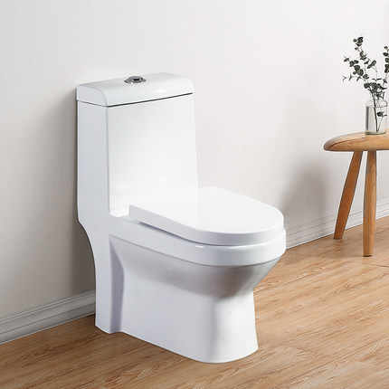 Goode Prices Bathroom One-piece Flush Toilet for the Middle East Market 