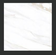 Foshan India 600x600 Glazed Rustic Ceramic Tiles