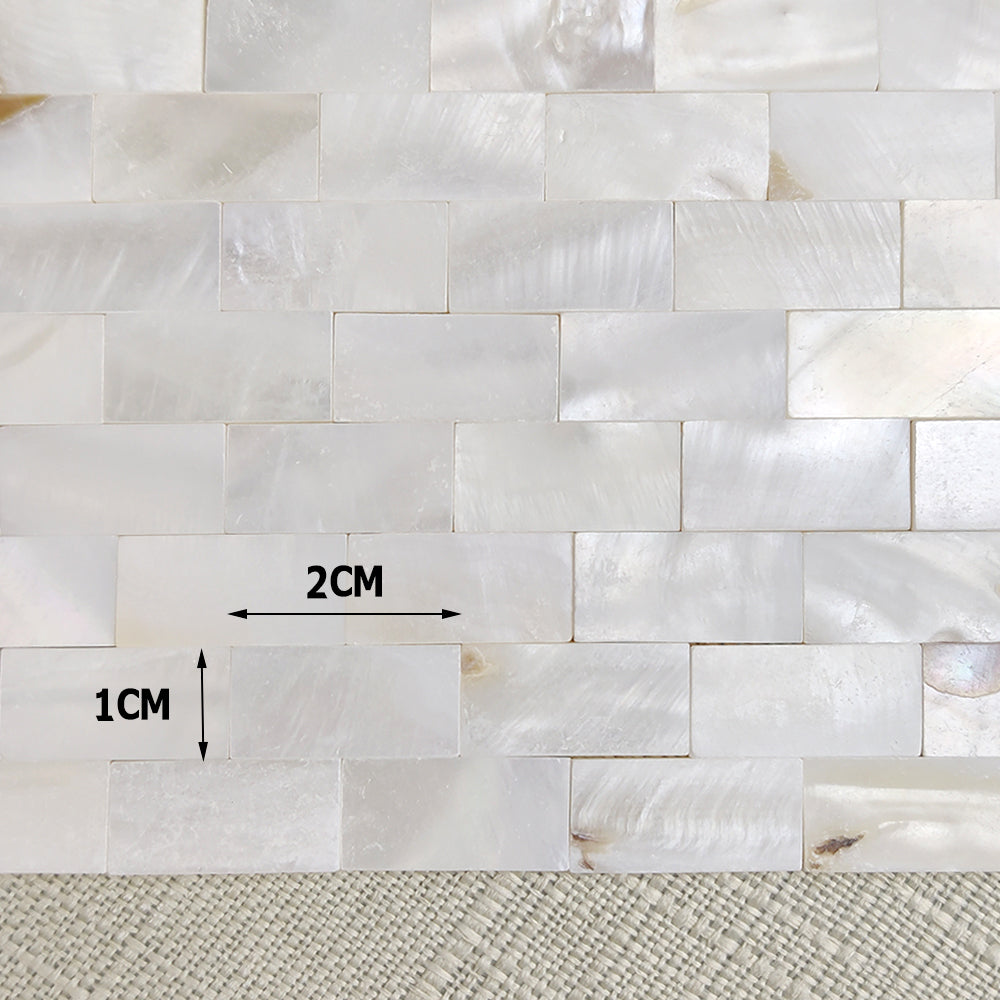 50 Viên Gạch Mosaic Vỏ Trai Trắng Hình Quạt DIY - Daisan Mart