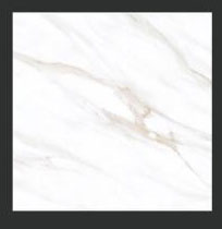 Foshan India 600x600 Glazed Rustic Ceramic Tiles