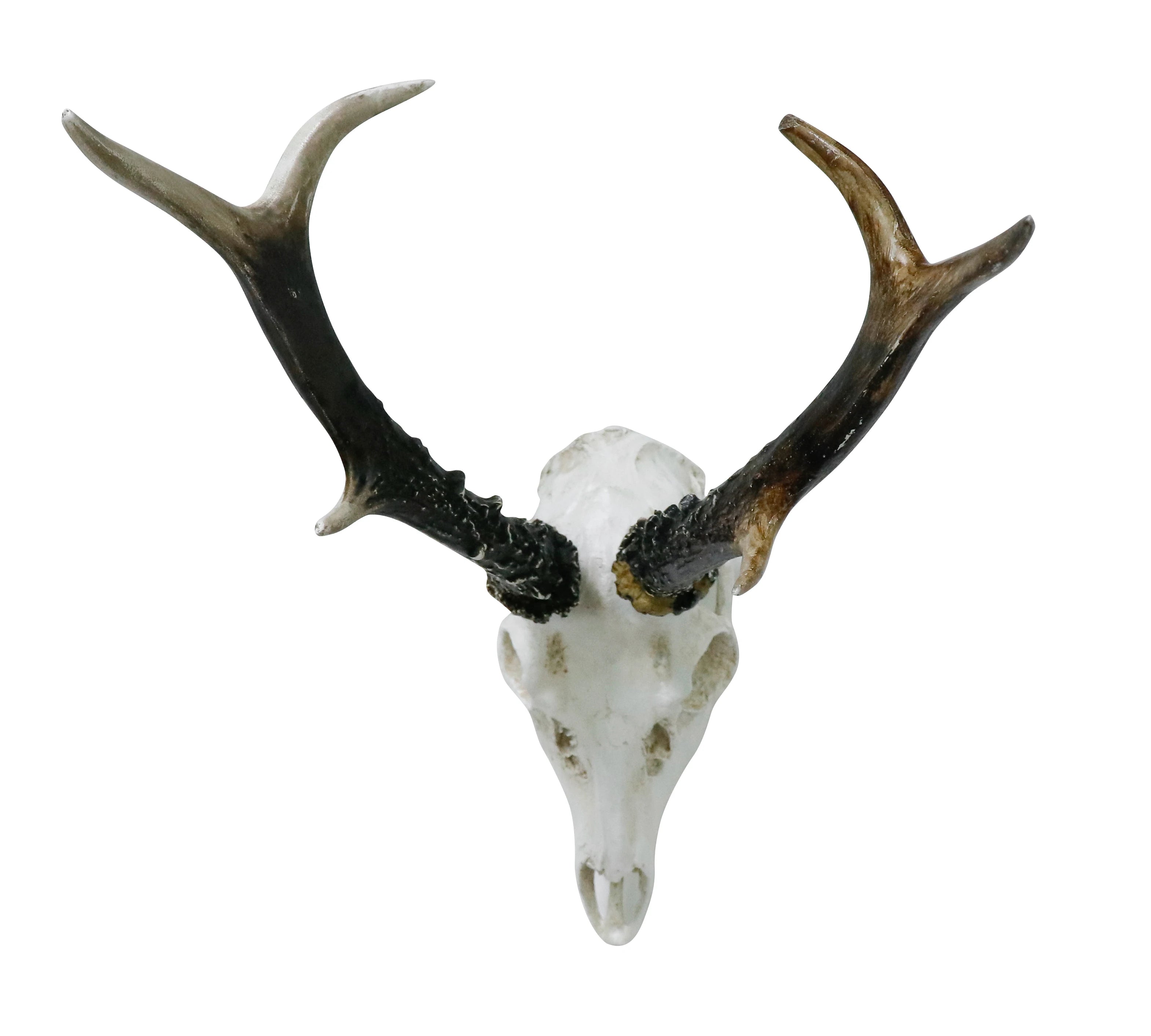 US Stock Resin Deer with Antlers Model Pattern Wall Decor Animal Skeleton Art for Home & Bar