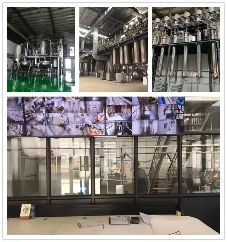 Food Grade 95% NF Pure Rutin Powder Herbal Extract in Plastic Container Bottle or Drum Packaging