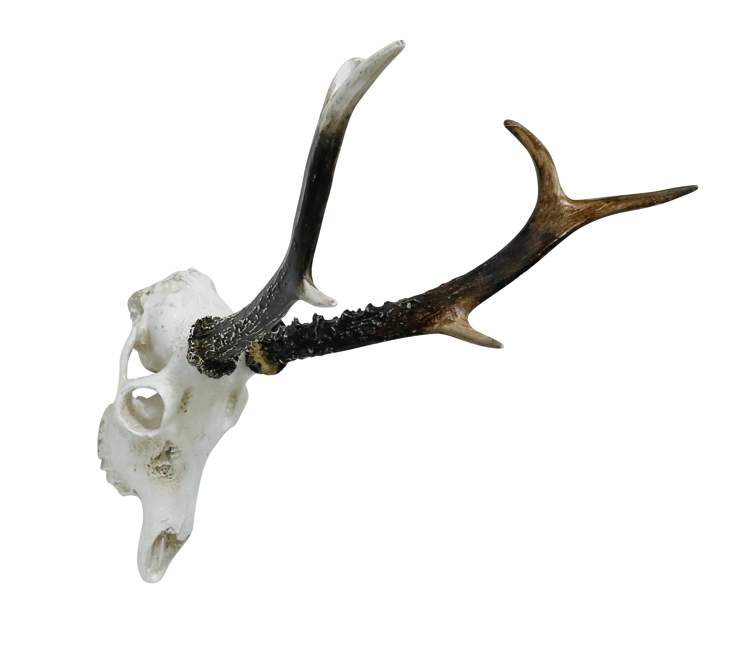 US Stock Resin Deer with Antlers Model Pattern Wall Decor Animal Skeleton Art for Home & Bar