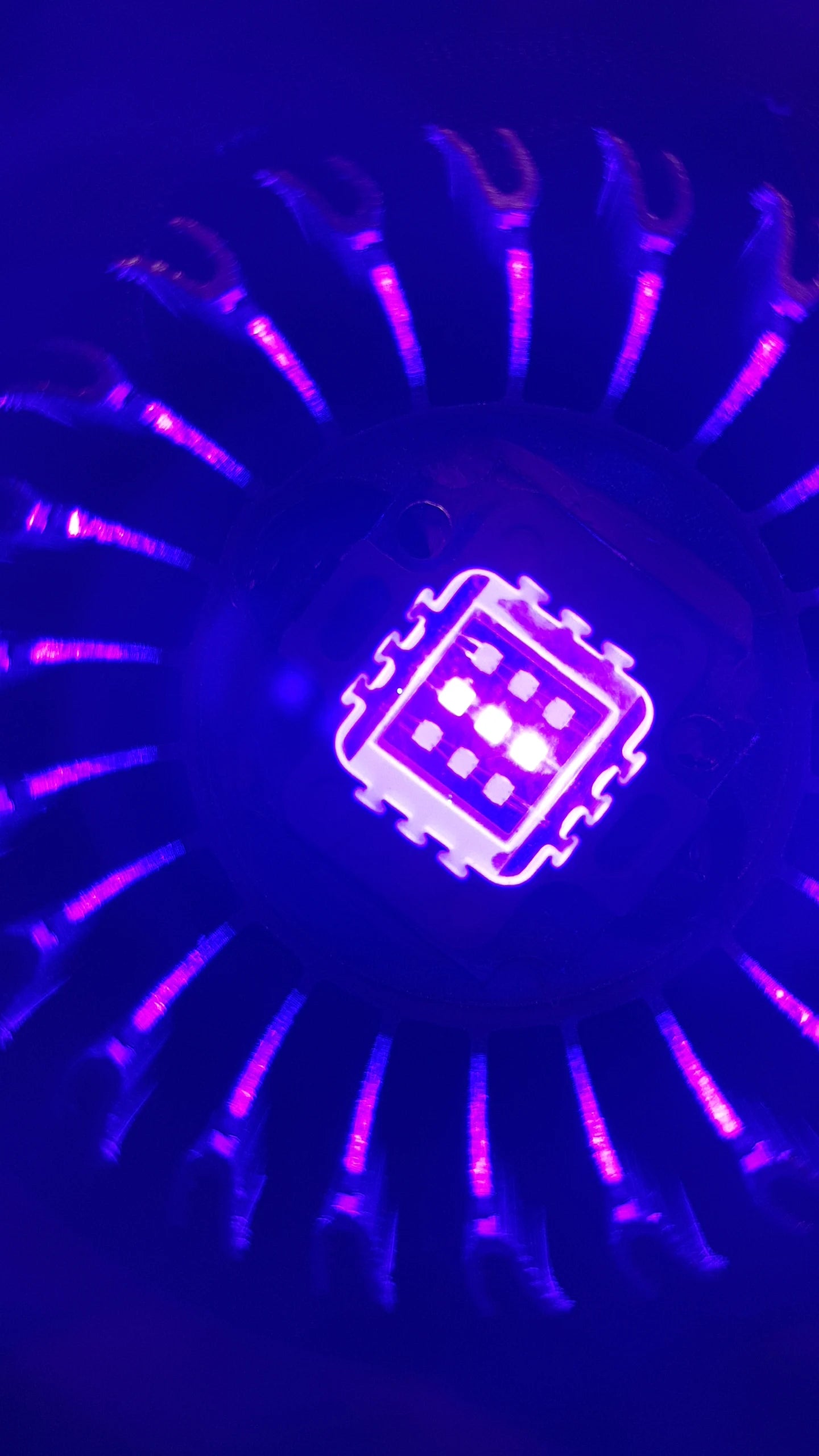 Chip LED Tím UV 395nm Công Suất Cao 20W-100W - Daisan Mart