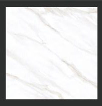 Foshan India 600x600 Glazed Rustic Ceramic Tiles