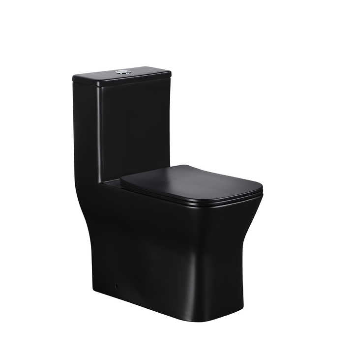 S-shape floor mounted matte black square porcelain toilet 300 mm 