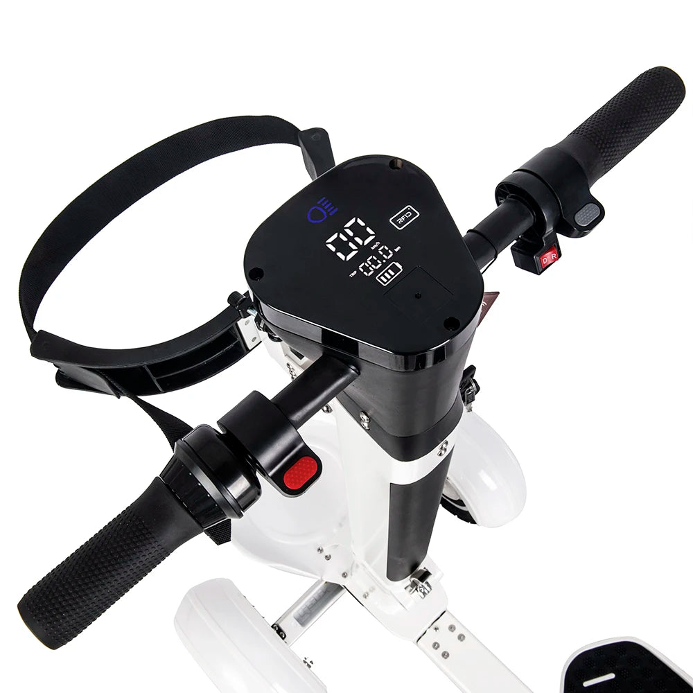 ESWING 10 Inch 2000W 4-Wheel Folding Electric Golf Cart