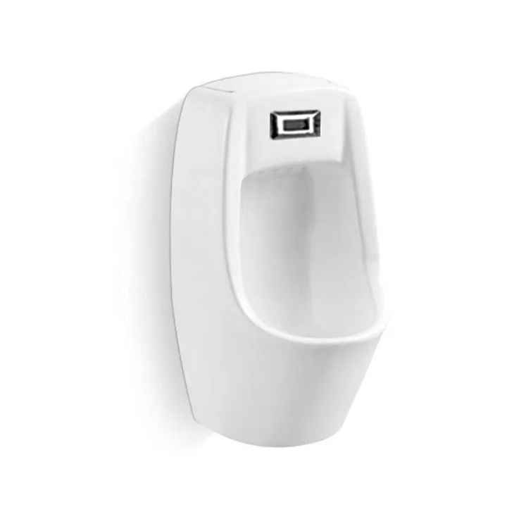 Ceramic wall hung urinal 