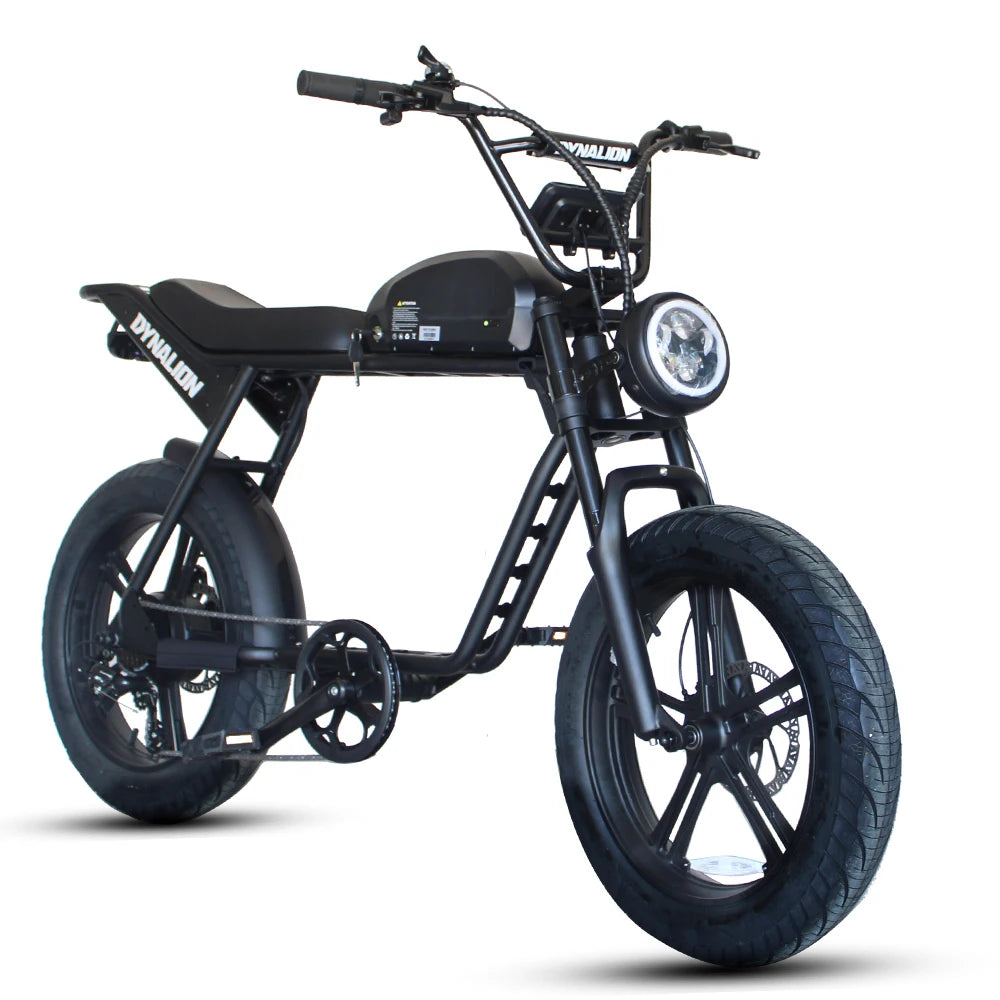 Xe Đạp Điện Địa Hình K7-2 Fat Tire 1000W Siêu Khỏe - Daisan Mart