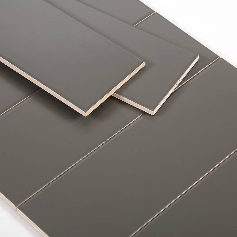 Flat matte dark gray tile 100x300mm M1303Y
