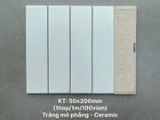Vietnamese Tiles, Flat White Matte, Size 50x200 mm, PSTA50206, Goods (1 box/ 100 pieces/ 1m2)