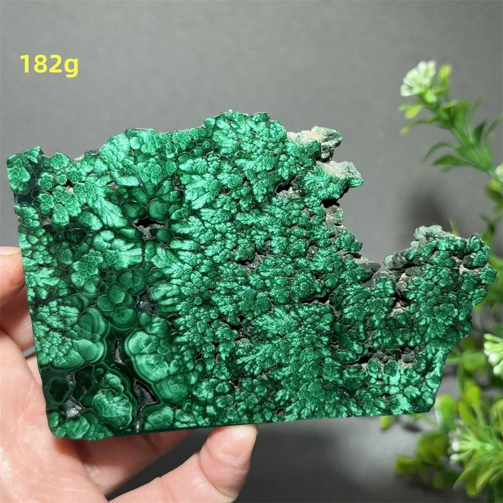 Thiên Nhiên Đá Malachite Sống Thiền Trang Trí 50cm - Daisan Mart
