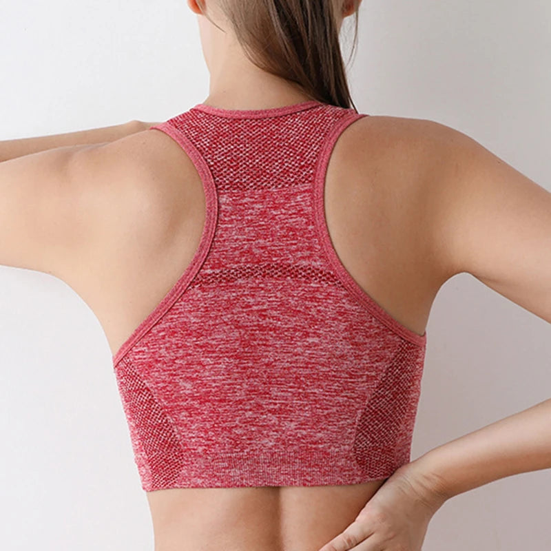 Bra Thể Thao Nữ Co Giãn Tập Gym Yoga Đệm Eo êm - Daisan Mart