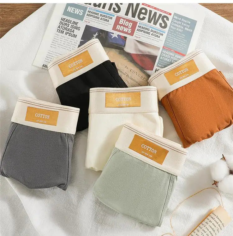 Quần Boxer Nam Cotton Thoáng Khí Thể Thao Gợi Cảm