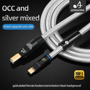 Hifi Upgrade USB Audio Cable Type A to Type B, A-C,C-B, C-C USB Cable OCC Shielded Audio Cable for DAC