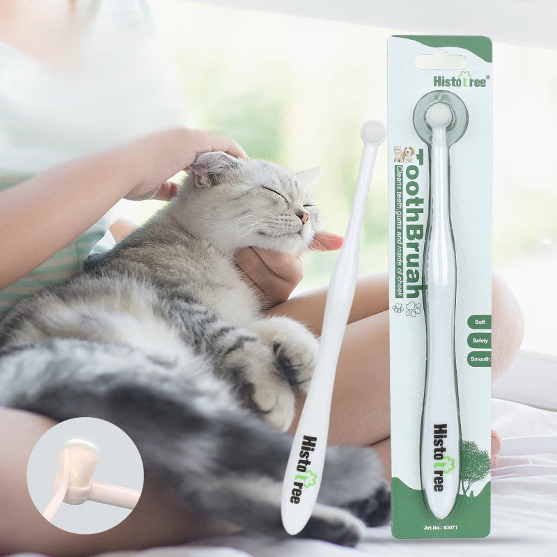 Con mèo xám đang được cưng nựng, bên cạnh là bàn chải trắng trong bao bì HistoTree.