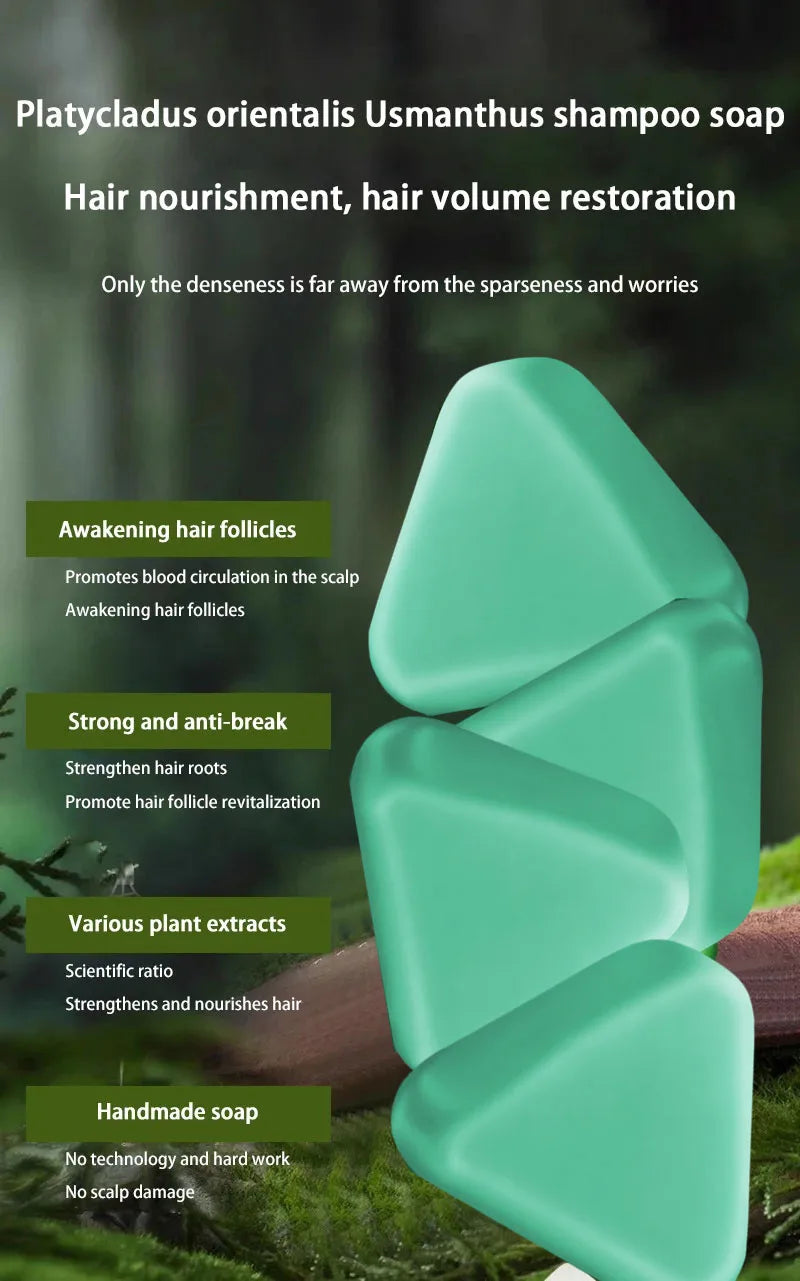 Platycladus Herbal Shampoo for Natural Hair Loss Prevention