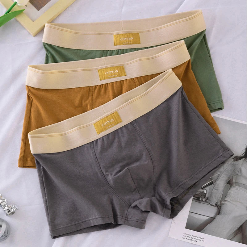 Quần Boxer Nam Cotton Thoáng Khí Thể Thao Gợi Cảm